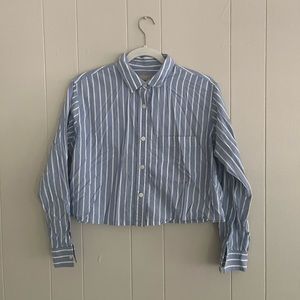 Everlane Cropped Striped Button Down